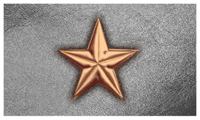 DNSEMP-C-430-CP-SL Star Copper-Silver